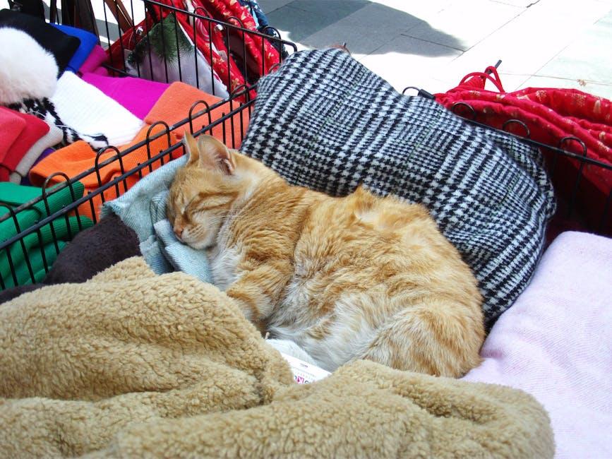 Packing Essential Comfort Items and Supplies